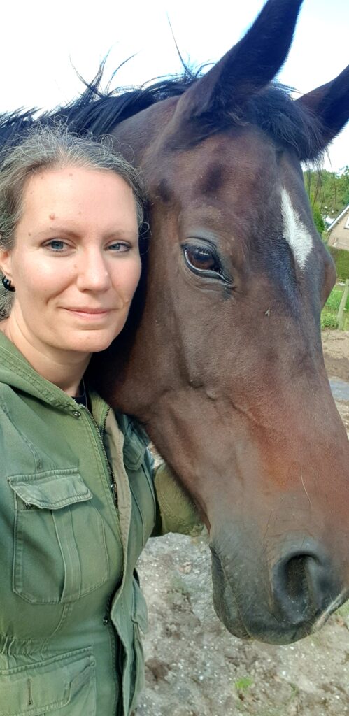 baida-paardencoaching