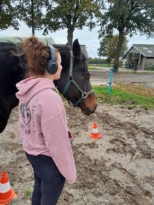 psychosociale paardentherapie