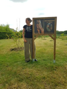 baida paardencoaching